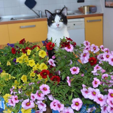 Gli Anemoni B&B Free Parking 제노바 외부 사진